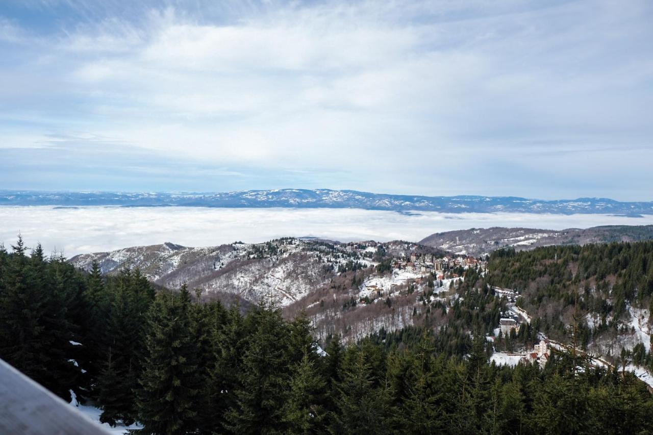 Vila Planinsko Blago Kopaonik Exterior foto